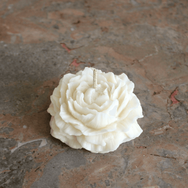 Bougie moulée pivoine